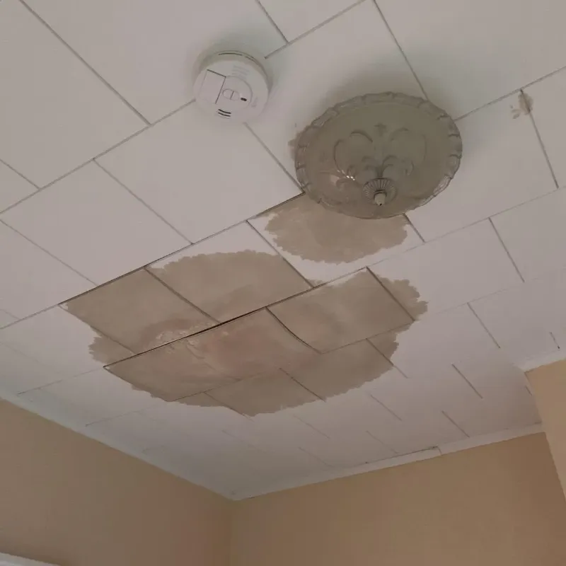 Ceiling Water Damage Repair in McGehee, AR